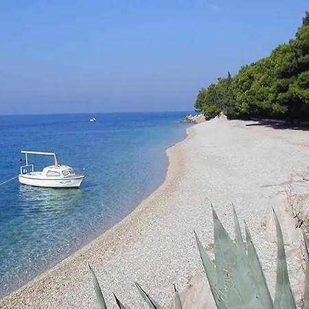Renata * Makarska